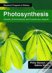 Capa do artigo Photosynthesis
