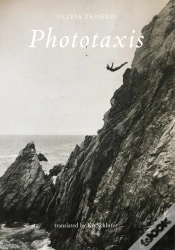 Capa do artigo Phototaxis
