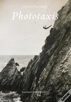 Capa do artigo Phototaxis