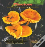 Capa do artigo Phrotose