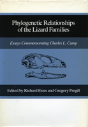 Phylogenetic Relationships Of The Lizard Families - Preview