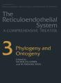 Phylogeny And Ontogeny - Preview