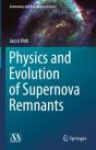 Physics And Evolution Of Supernova Remnants - Preview