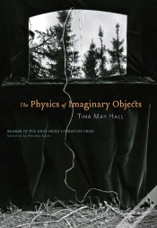 Capa do artigo Physics Of Imaginary Objects