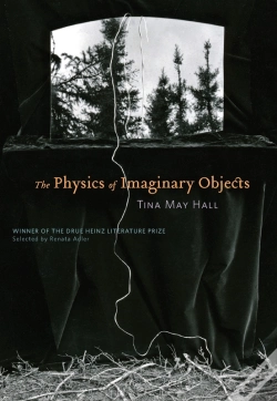 Capa do artigo Physics Of Imaginary Objects