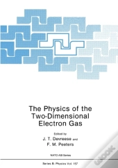 Physics Of The Two-Dimensional Electron Gas