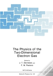 Capa do artigo Physics Of The Two-Dimensional Electron Gas