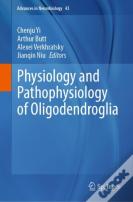 Physiology And Pathophysiology Of Oligodendroglia