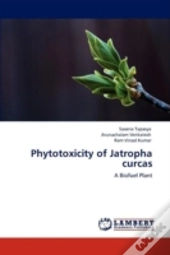 Phytotoxicity Of Jatropha Curcas