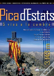 Capa do artigo Pica D