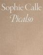 Picalso - Version Anglaise - Preview