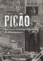 Capa do artigo Picão