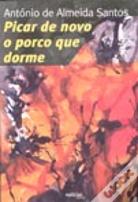 Picar de Novo o Porco que Dorme