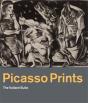 Picasso /Anglais - Preview