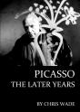 Picasso - Preview