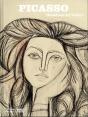 Picasso, Dessiner À L'Infini - Preview