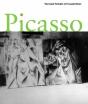 Picasso - Preview