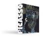 Picasso - Preview