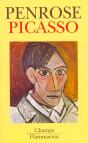 Picasso - Preview