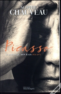 Capa do artigo Picasso V2