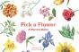 Pick A Flower - Preview