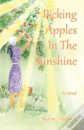 Picking Apples In The  Sunshine