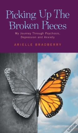 Capa do artigo Picking Up The Broken Pieces