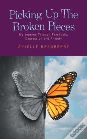 Capa do artigo Picking Up The Broken Pieces