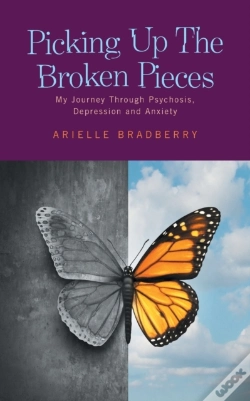Capa do artigo Picking Up The Broken Pieces