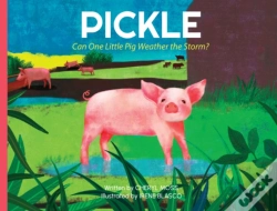 Capa do artigo Pickle
