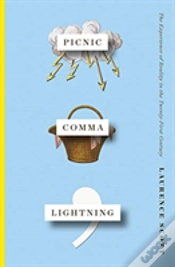 Capa do artigo Picnic Comma Lightning
