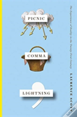 Capa do artigo Picnic Comma Lightning