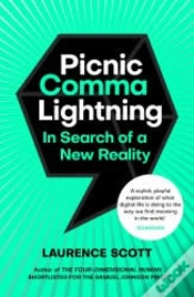 Capa do artigo Picnic Comma Lightning