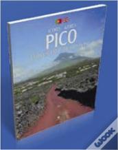 Pico