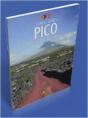 Pico - Preview