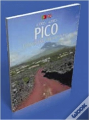 Capa do artigo Pico