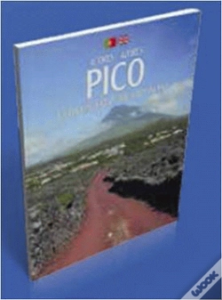 Capa do artigo Pico