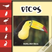 Capa do artigo Picos