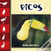 Capa do artigo Picos