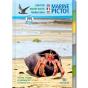 Pictolife Maree Basse : Atlantique Est - Preview