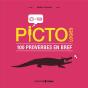 Pictologies - 100 Proverbes En Bref - Preview