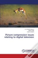 Picture Compression Issues Relating To Digital Television