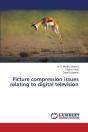 Picture Compression Issues Relating To Digital Television - Preview