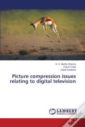 Capa do artigo Picture Compression Issues Relating To Digital Television