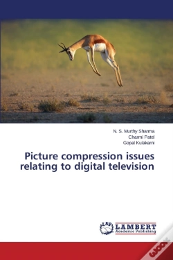Capa do artigo Picture Compression Issues Relating To Digital Television