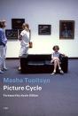 Picture Cycle - Preview