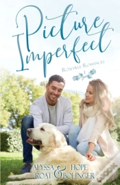 Capa do artigo Picture Imperfect