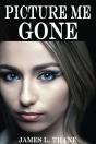 Picture Me Gone - Preview