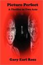 Picture Perfect A Thriller In Two Acts - Preview