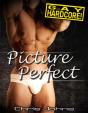 Picture Perfect - Preview